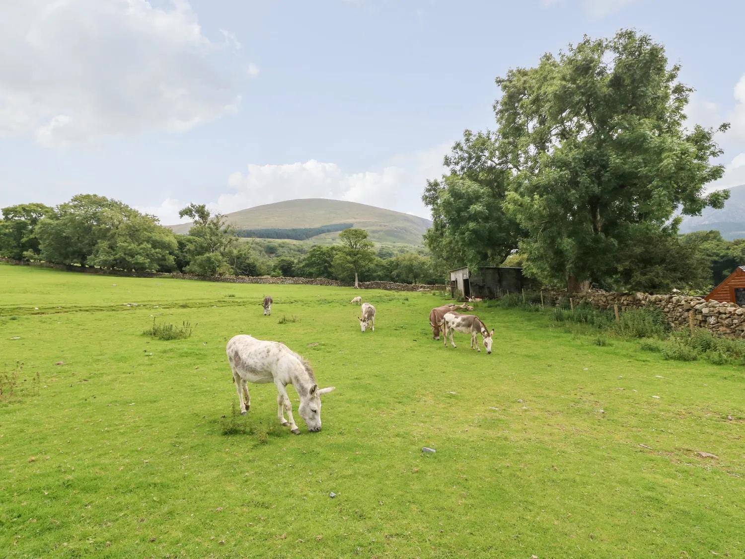 Ty Bach Villa Caernarfon Buitenkant foto